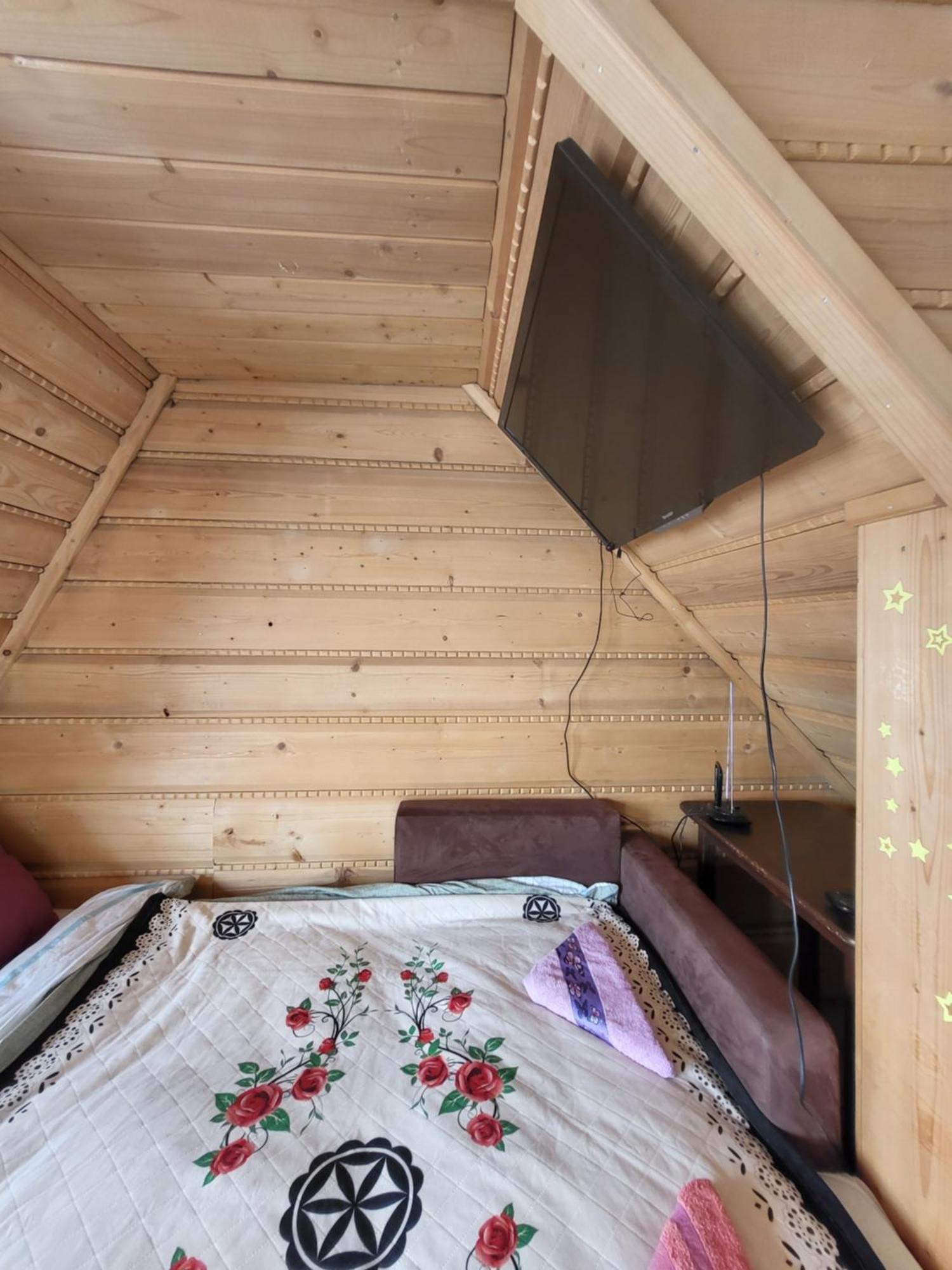 Domek Jelonek Zakopane Dış mekan fotoğraf